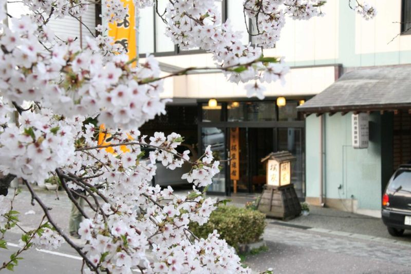 弥彦温泉　割烹の宿　櫻家