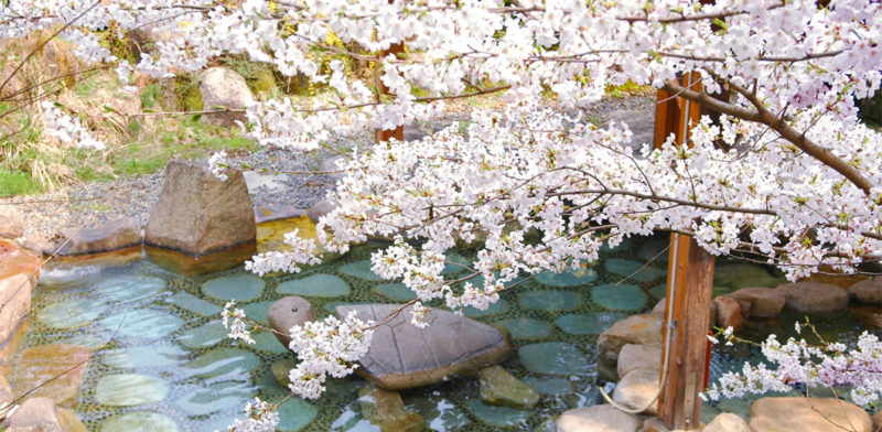 村杉温泉　長生館　露天風呂