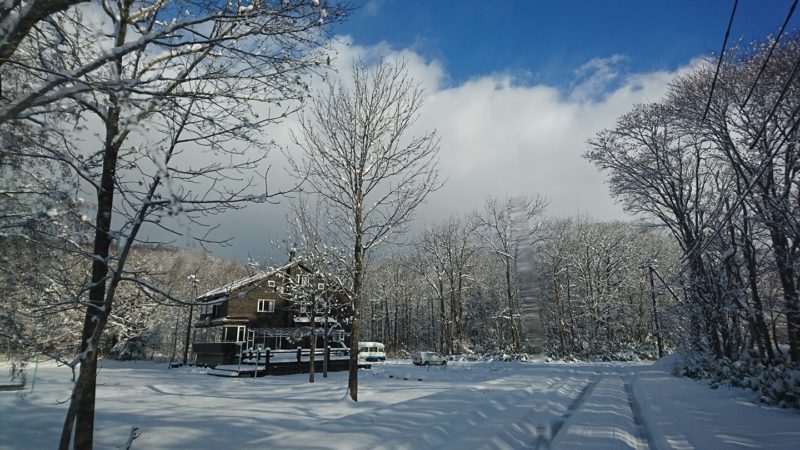 LODGE NISEKO BEARS